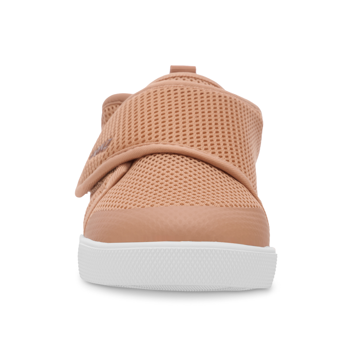 alt::Camel